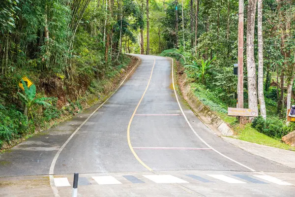 Tayland 'daki dağda küçük bir yol.