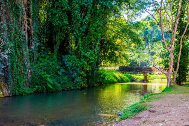 Phu Sang Şelalesi, Tayland.