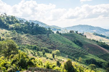 Tayland 'ın Chiangrai eyaletinde dağ manzarası.
