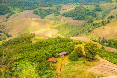 Tayland 'ın Chiangrai eyaletinde dağ manzarası.