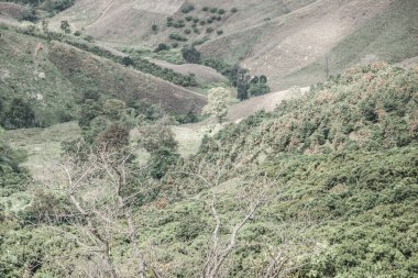 Tayland 'ın Chiangrai eyaletinde dağ manzarası.