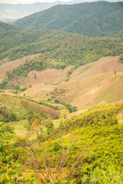 Tayland 'ın Chiangrai eyaletinde dağ manzarası.