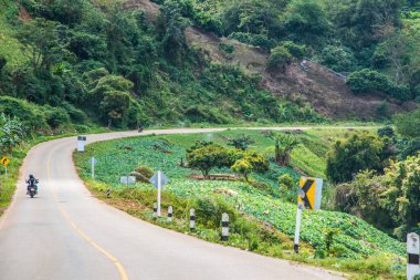 Phu Chi Pa yolu, Tayland.