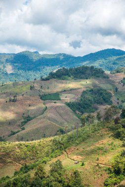Tayland 'ın Chiangrai eyaletinde dağ manzarası.