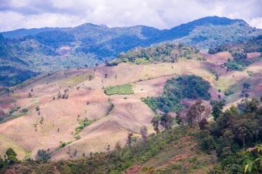 Tayland 'ın Chiangrai eyaletinde dağ manzarası.
