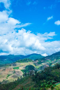 Tayland 'ın Chiangrai eyaletinde dağ manzarası.