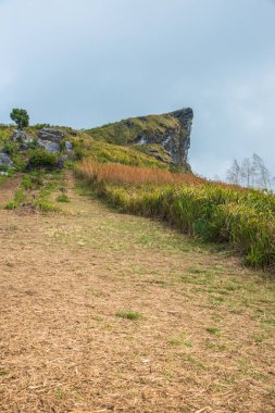 Chiangrai, Tayland 'daki Phu Chi Fa Dağı manzarası.
