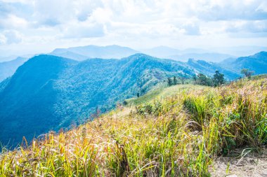Chiangrai, Tayland 'daki Phu Chi Fa Dağı manzarası.