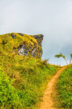 Chiangrai, Tayland 'daki Phu Chi Fa Dağı manzarası.