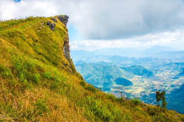 Chiangrai, Tayland 'daki Phu Chi Fa Dağı manzarası.