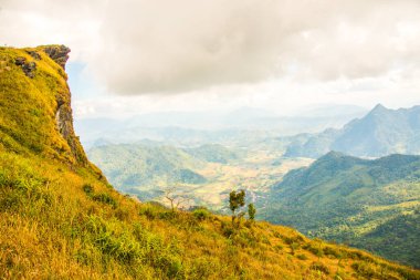 Chiangrai, Tayland 'daki Phu Chi Fa Dağı manzarası.