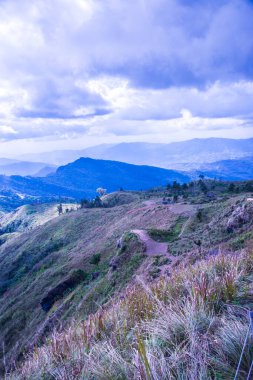 Chiangrai, Tayland 'daki Phu Chi Fa Dağı manzarası.