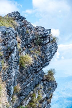 Chiangrai, Tayland 'daki Phu Chi Fa Dağı manzarası.