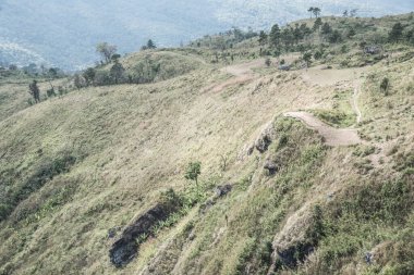 Chiangrai, Tayland 'daki Phu Chi Fa Dağı manzarası.