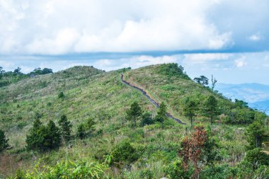 Chiangrai, Tayland 'daki Phu Chi Fa Dağı manzarası.