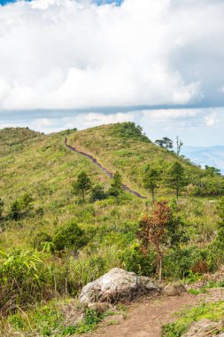 Chiangrai, Tayland 'daki Phu Chi Fa Dağı manzarası.