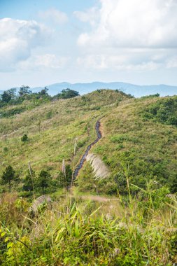 Chiangrai, Tayland 'daki Phu Chi Fa Dağı manzarası.