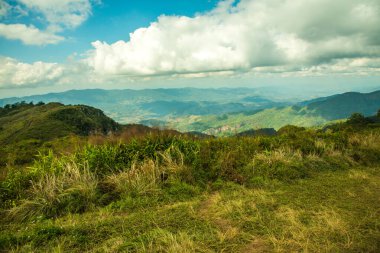 Chiangrai, Tayland 'daki Phu Chi Fa Dağı manzarası.