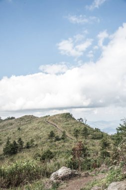 Chiangrai, Tayland 'daki Phu Chi Fa Dağı manzarası.