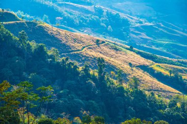 Tayland 'ın Chiangrai eyaletinde dağ manzarası.