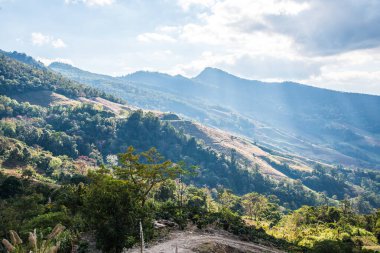 Tayland 'ın Chiangrai eyaletinde dağ manzarası.