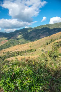 Tayland 'ın Chiangrai eyaletinde dağ manzarası.