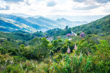 Tayland 'ın Chiangrai eyaletinde dağ manzarası.