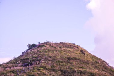 Tayland 'ın Chiangrai ilindeki Doi Pha Tang Dağı manzarası.