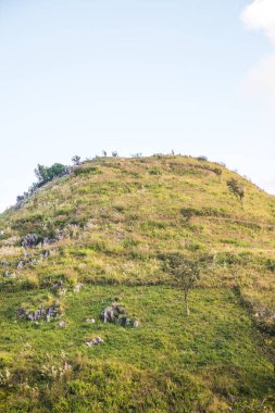 Tayland 'ın Chiangrai ilindeki Doi Pha Tang Dağı manzarası.