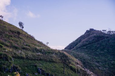 Tayland 'ın Chiangrai ilindeki Doi Pha Tang Dağı manzarası.