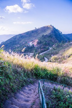 Tayland 'ın Chiangrai ilindeki Doi Pha Tang Dağı manzarası.