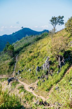 Tayland 'ın Chiangrai ilindeki Doi Pha Tang Dağı manzarası.