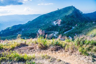 Tayland 'ın Chiangrai ilindeki Doi Pha Tang Dağı manzarası.