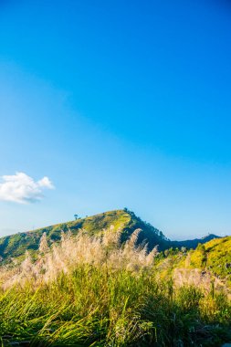 Tayland 'ın Chiangrai ilindeki Doi Pha Tang Dağı manzarası.
