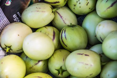 Bir grup Peppino Melon, Tayland.