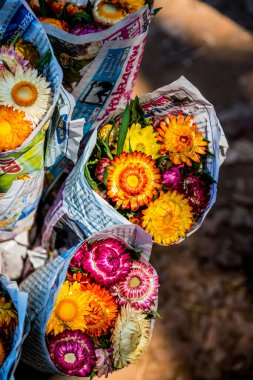 Hasır çiçek paketi, Tayland.