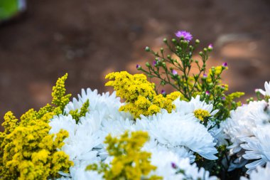 Taze çiçeklerin yakın çekimi, Tayland.