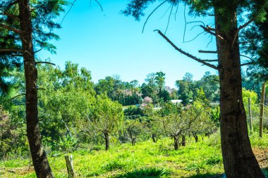 Khun Wang Kraliyet Projesi, Tayland.