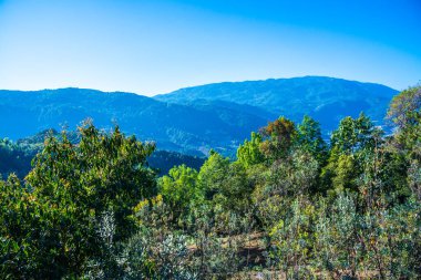 Doi Inthanon Ulusal Parkı, Tayland Dağ Manzarası.