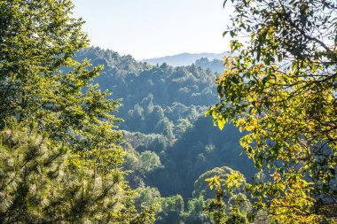 Doi Inthanon Ulusal Parkı, Tayland Dağ Manzarası.