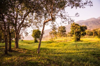Tayland 'ın Chiangmai ilindeki Huay Tueng Tao gölünün manzara manzarası.
