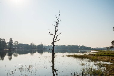 Tayland 'ın Chiangmai ilindeki Huay Tueng Tao gölünün manzara manzarası.