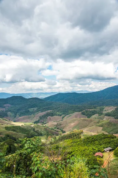 Tayland 'ın Chiangrai eyaletinde dağ manzarası.