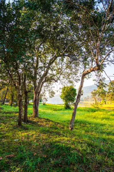 stock image Landscape view of Huay Tueng Tao lake in Chiangmai province, Thailand.