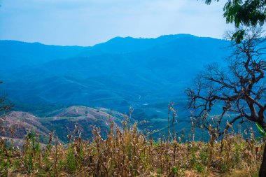 Tayland 'ın Phayao eyaletindeki dağ manzarası.