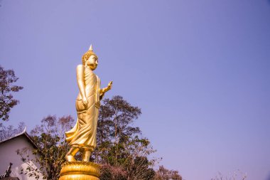 Phra 'da yürüyen altın Buda heykeli. Khao Noi tapınağı, Tayland.