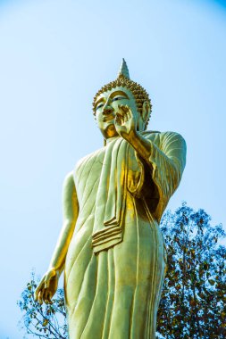 Phra 'da yürüyen altın Buda heykeli. Khao Noi tapınağı, Tayland.