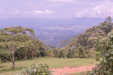 Tayland 'ın Chiangmai bölgesindeki dağ manzarası..