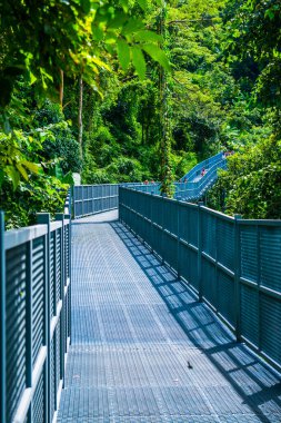 Tayland 'ın Chiangmai şehrindeki paraşüt yolu..