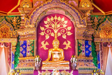 Prayodkhunpol 'deki güzel Buda heykeli Wiang Kalong Tapınağı, Tayland.